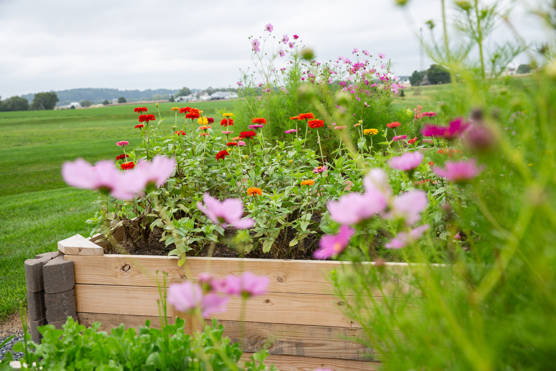 a wooden planter filled with pink and yellow flowers